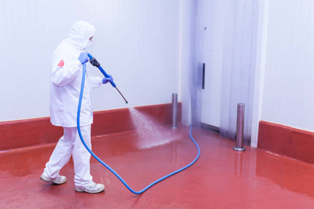 Best Post-Construction Pressure Washing  in Conyngham, PA